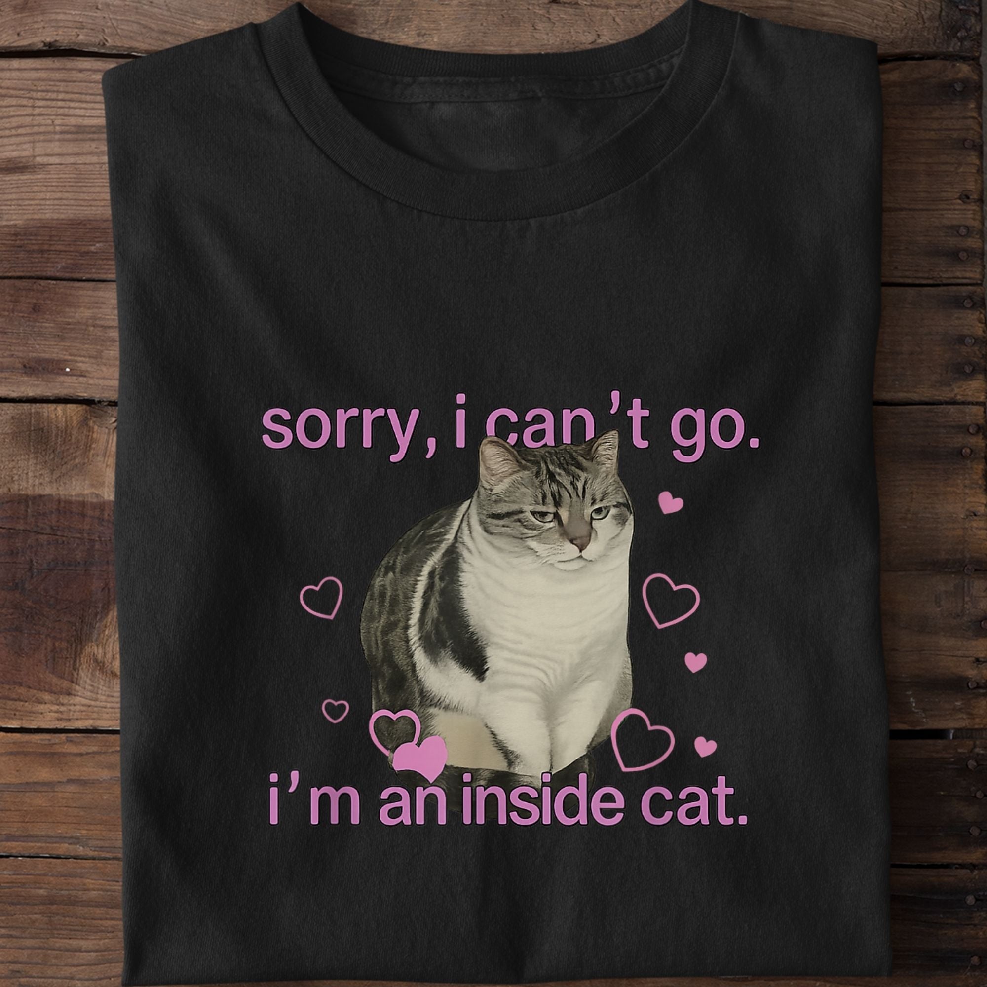 Sorry I Can’t Go I’m An Inside T-Shirt